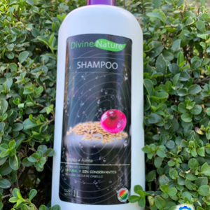 Shampoo